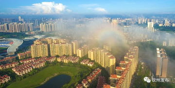 欽州發(fā)文加強(qiáng)房地產(chǎn)市場調(diào)控，促進(jìn)房地產(chǎn)開發(fā)行業(yè)健康發(fā)展